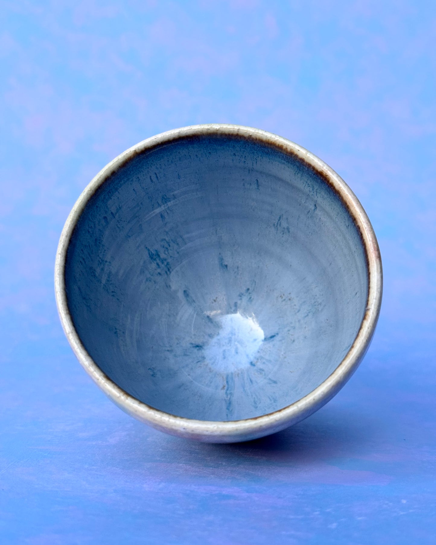 Sun-kissed Agave Tumbler Small #2