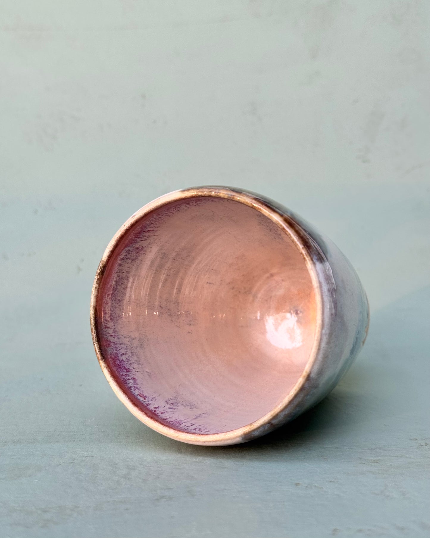 Sun-kissed Agave Tumbler #5