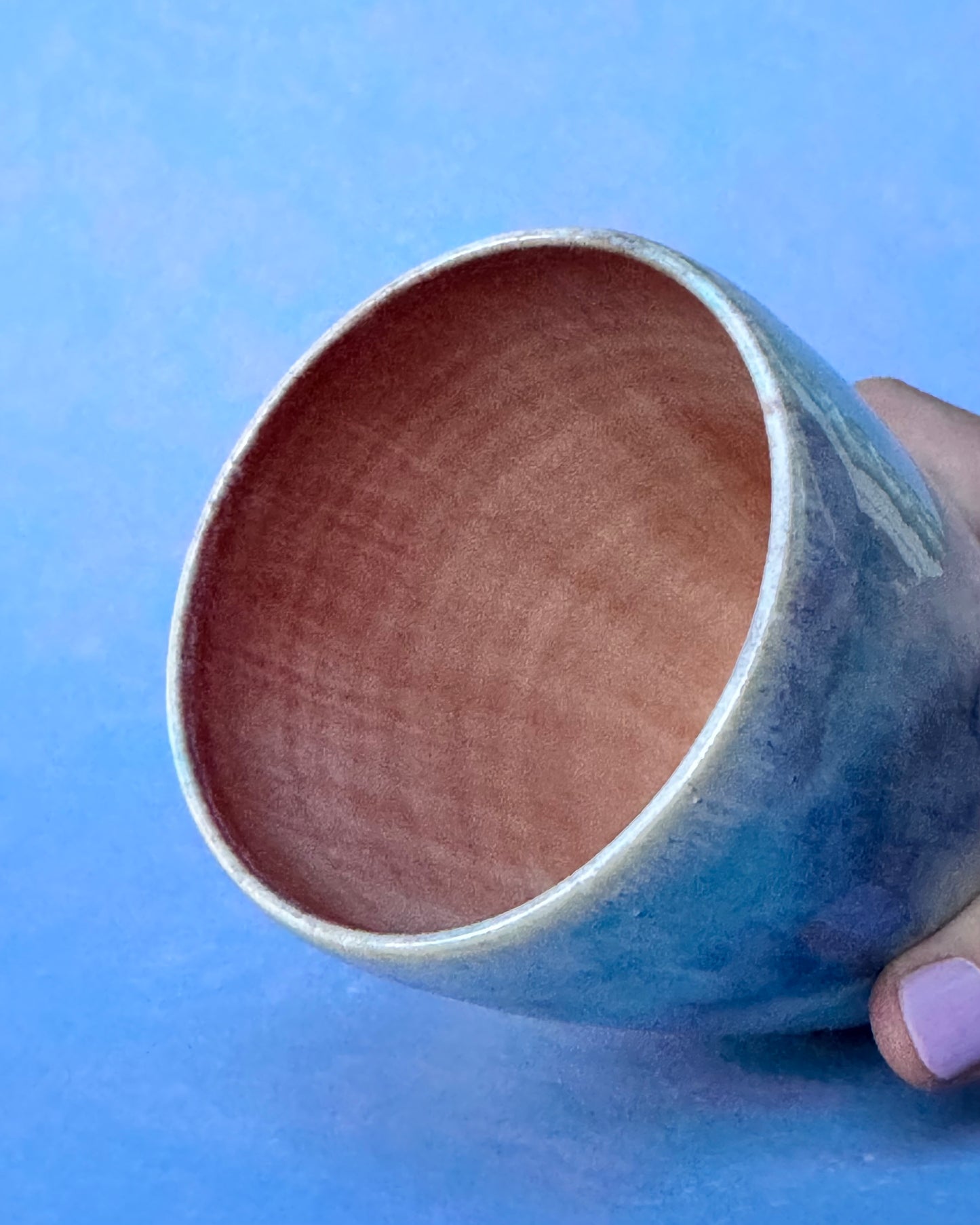 Sun-kissed Agave Tumbler #3